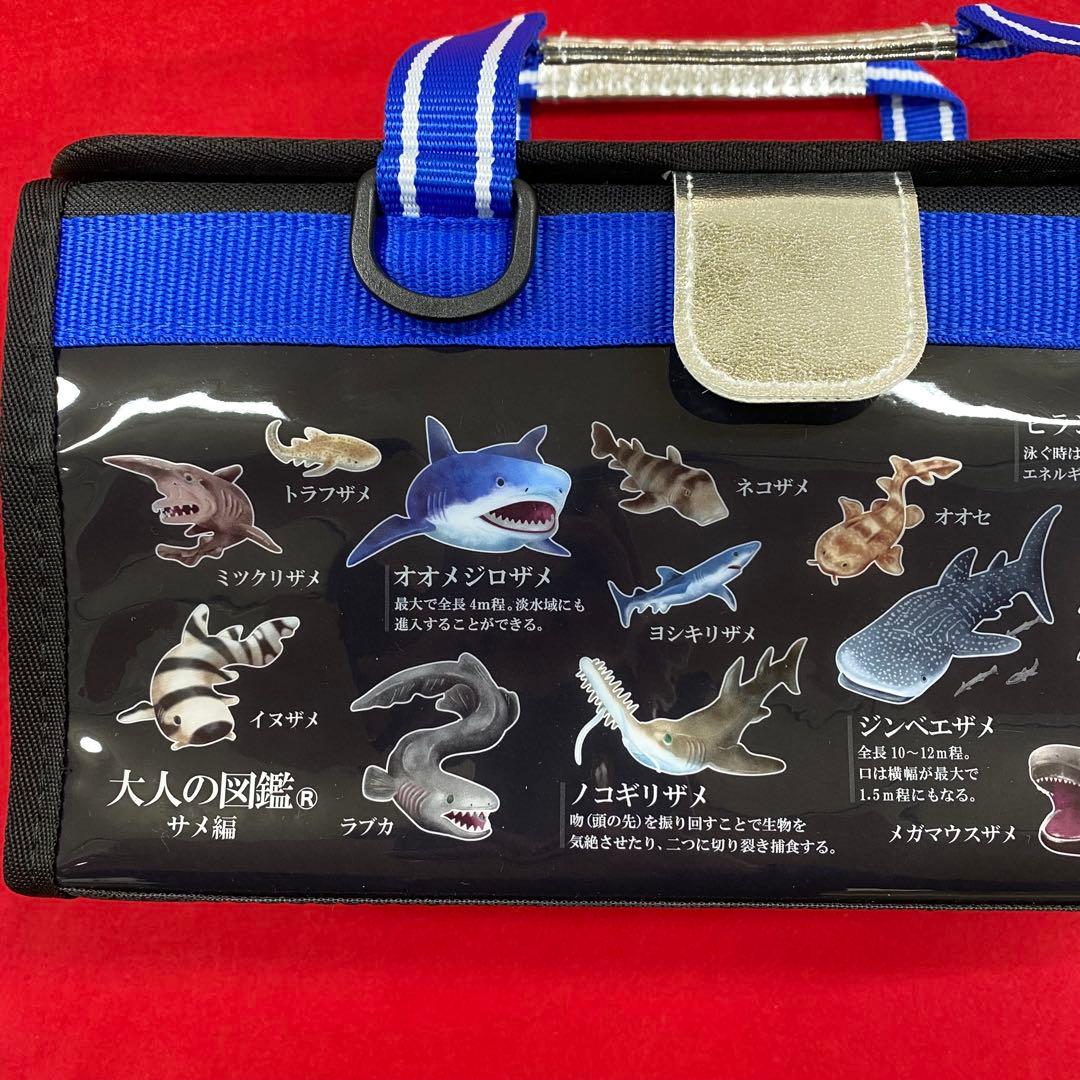 大人の図鑑 サメ編 画材セット 絵の具セット 小学生 小学校
