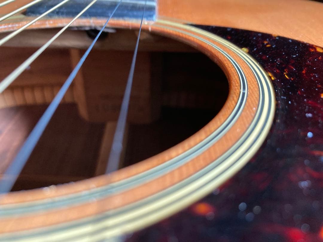 ギター cat's eyes CE800