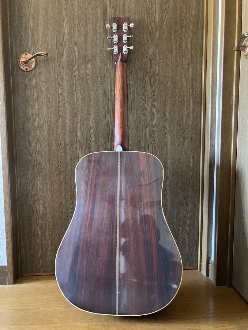 ギター cat's eyes CE800
