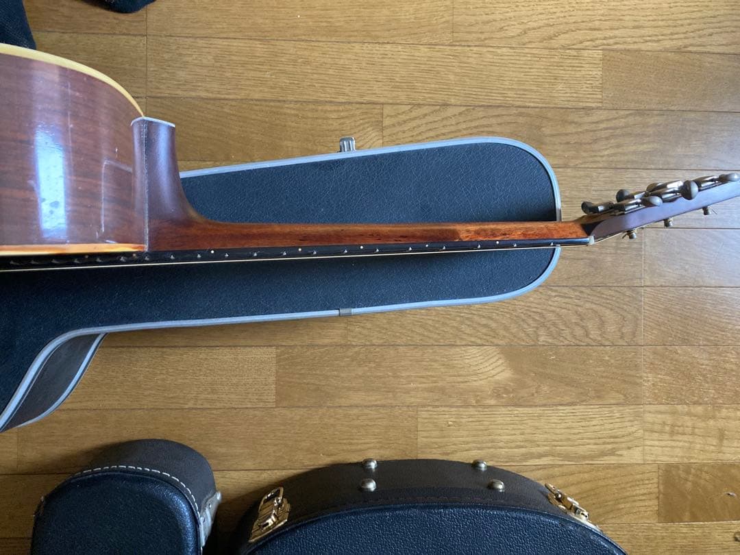 ギター cat's eyes CE800