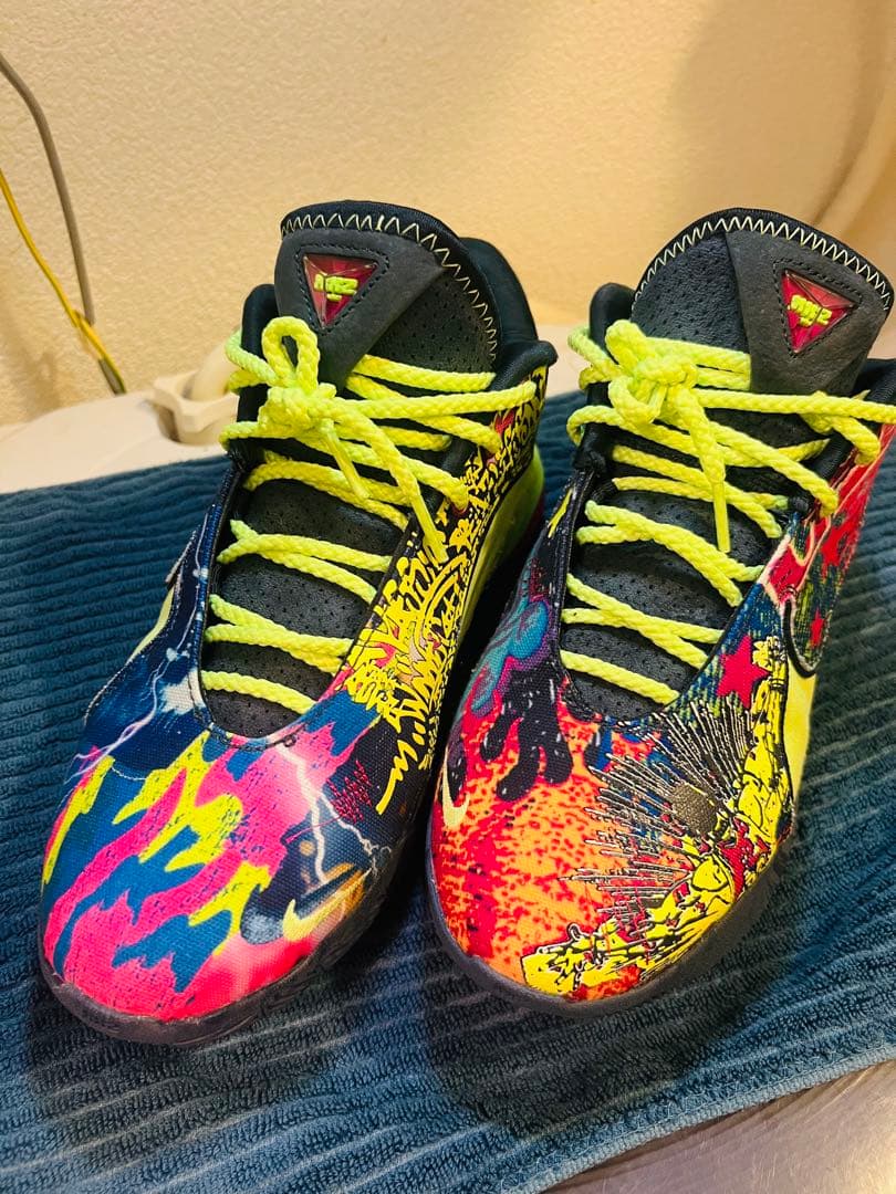 NIKE レブロン 22EP 24.5cm