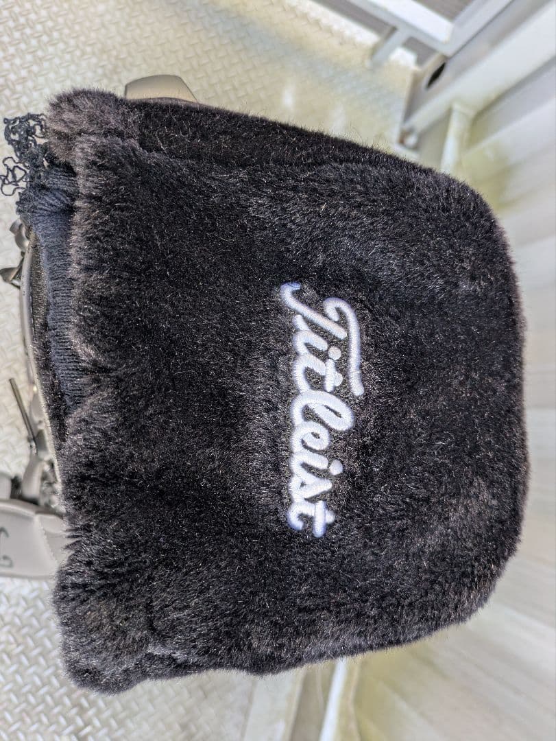 Titleist グレー キャディバッグ