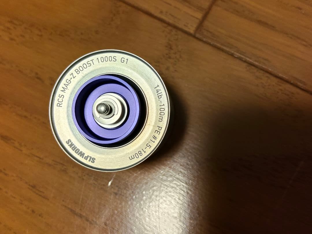 Daiwa STEEZ A Ⅱ TW 1000HL