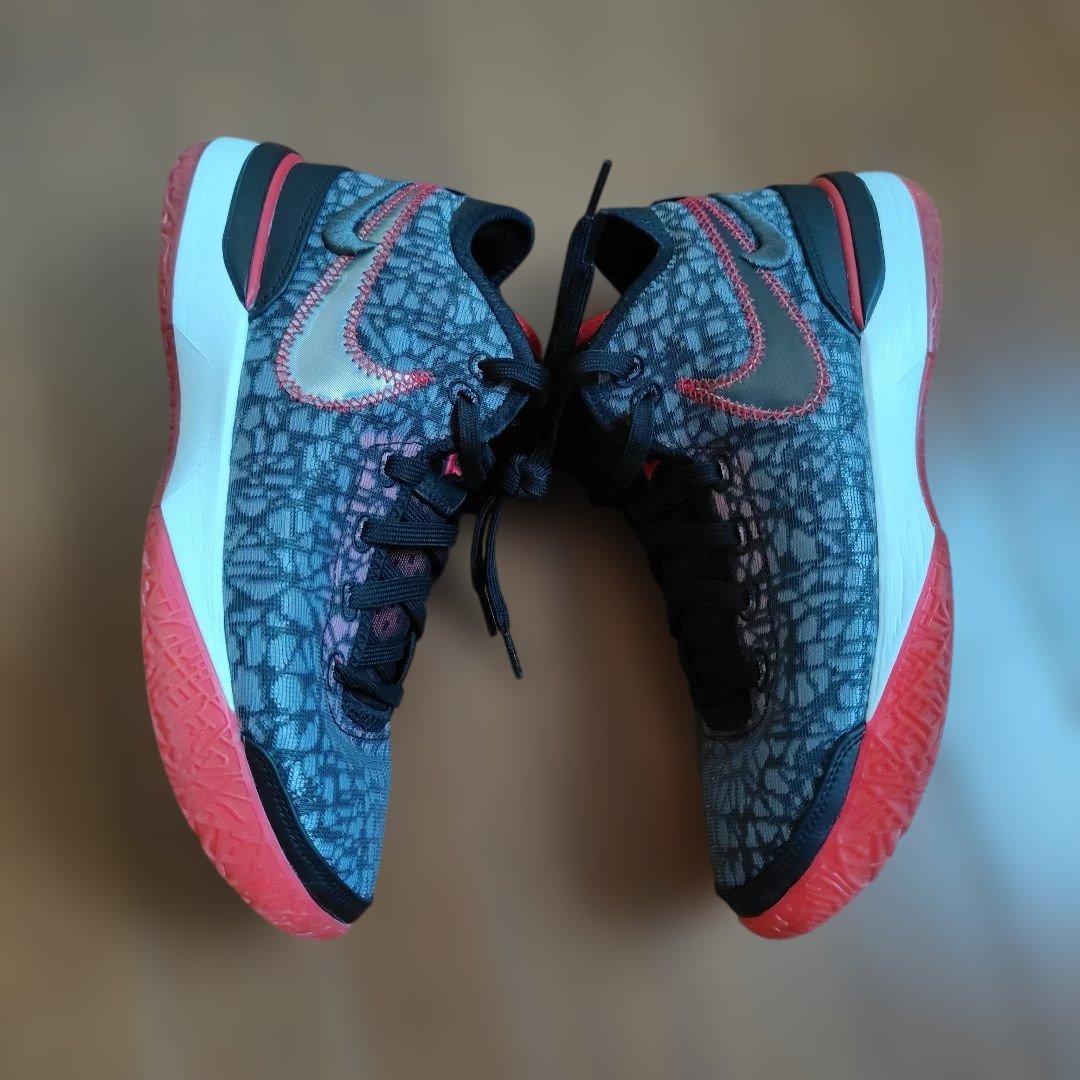 NIKE　Lebron nxxt gen Black　サイズ25.5cm
