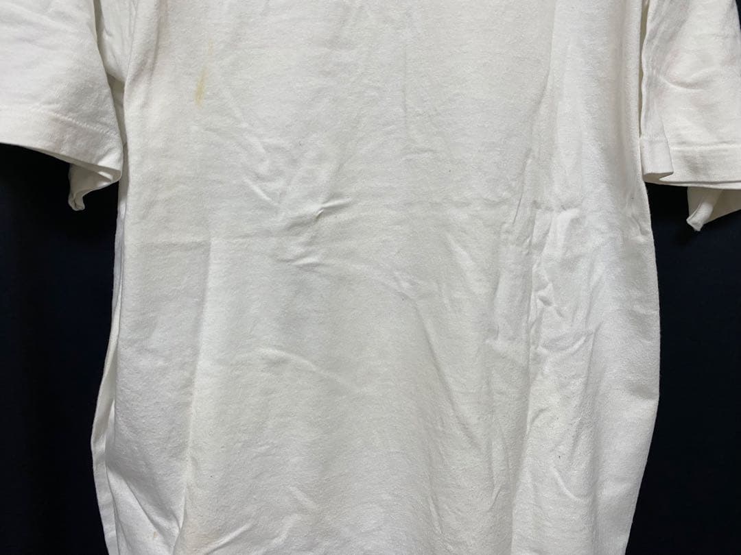 Chicago BULLS ブルズ　ロッドマンUSA製 Tシャツ NBA L