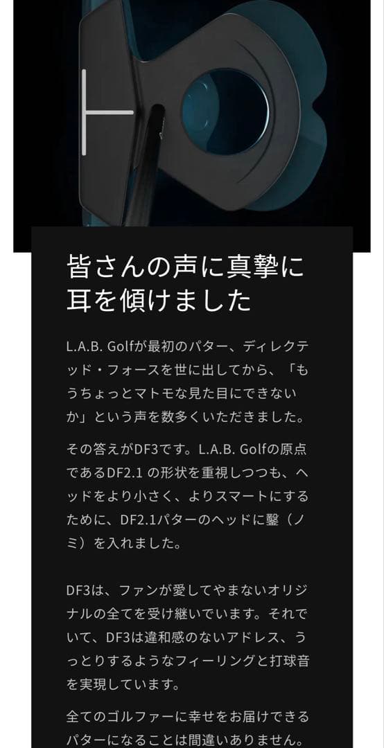 専用　【極美品・国内保証書付・店舗印あり】L.A.B GOLF DF3 34㌅