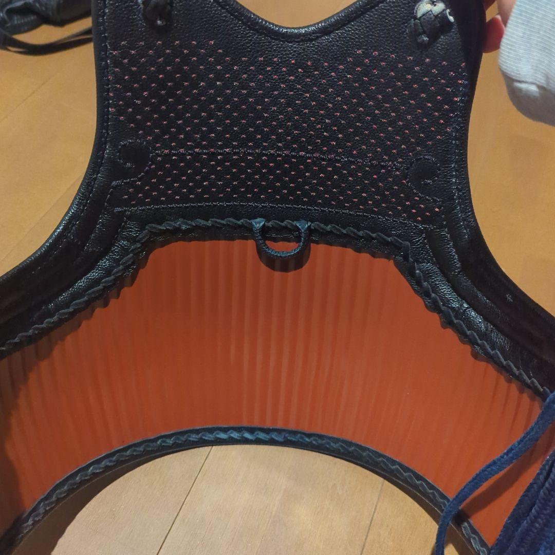 剣道胴