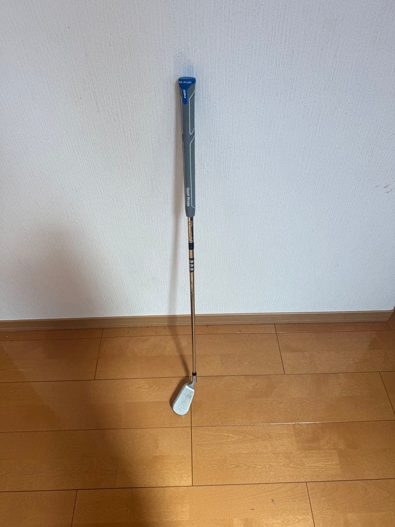 Dolphin Flying Wedge 225 55度