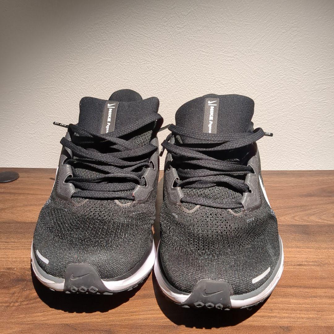 Nike エアズームペガサス41　ブラック 25.0cm
