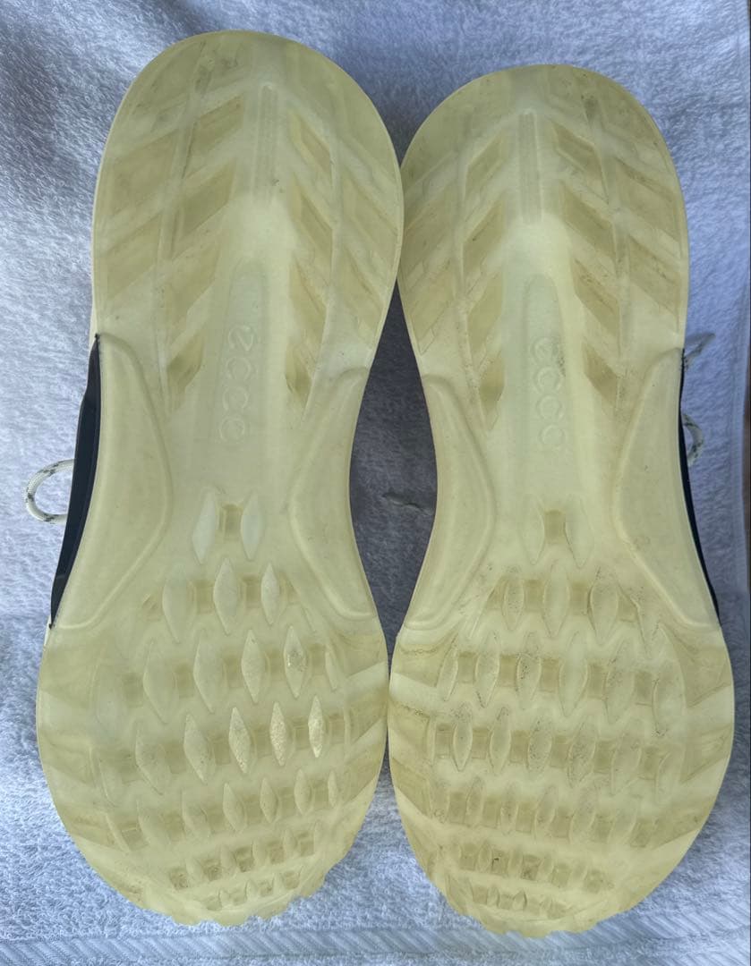 【ほぼ未使用】ECCO ゴルフシューズ BIOM C4　25.5〜26cm