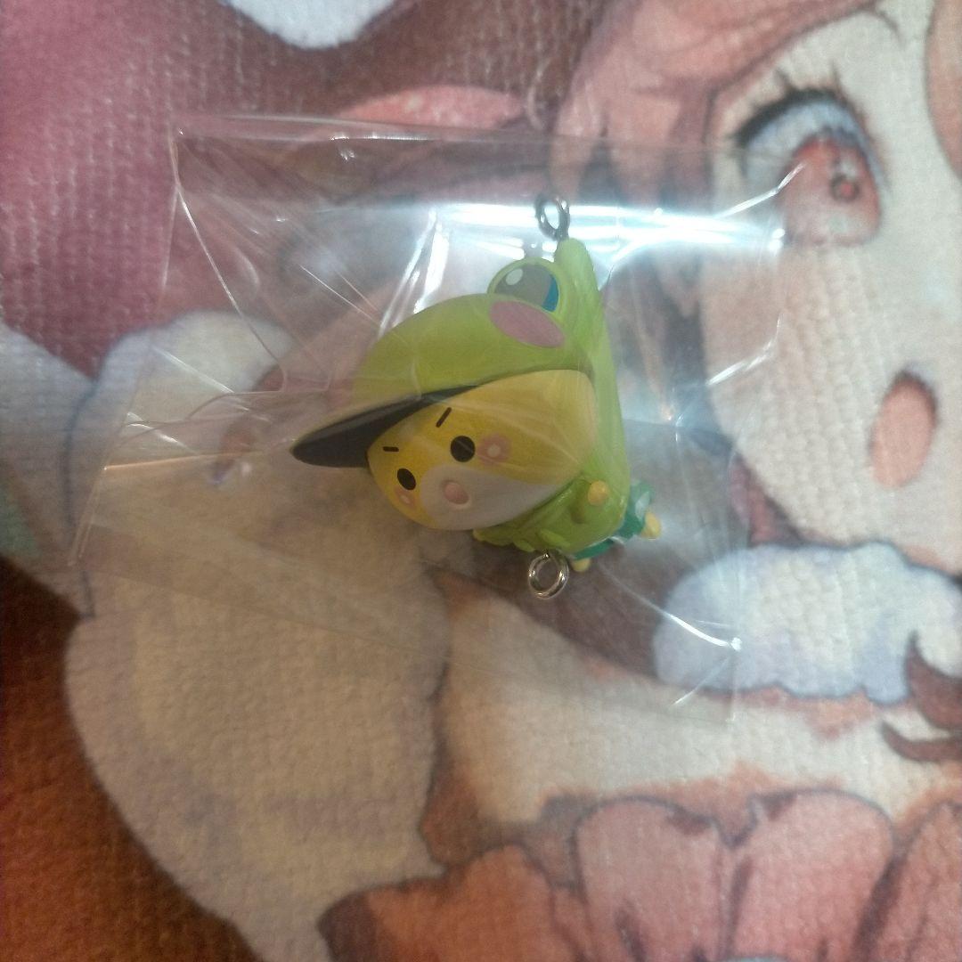 からぴちまとめ売り