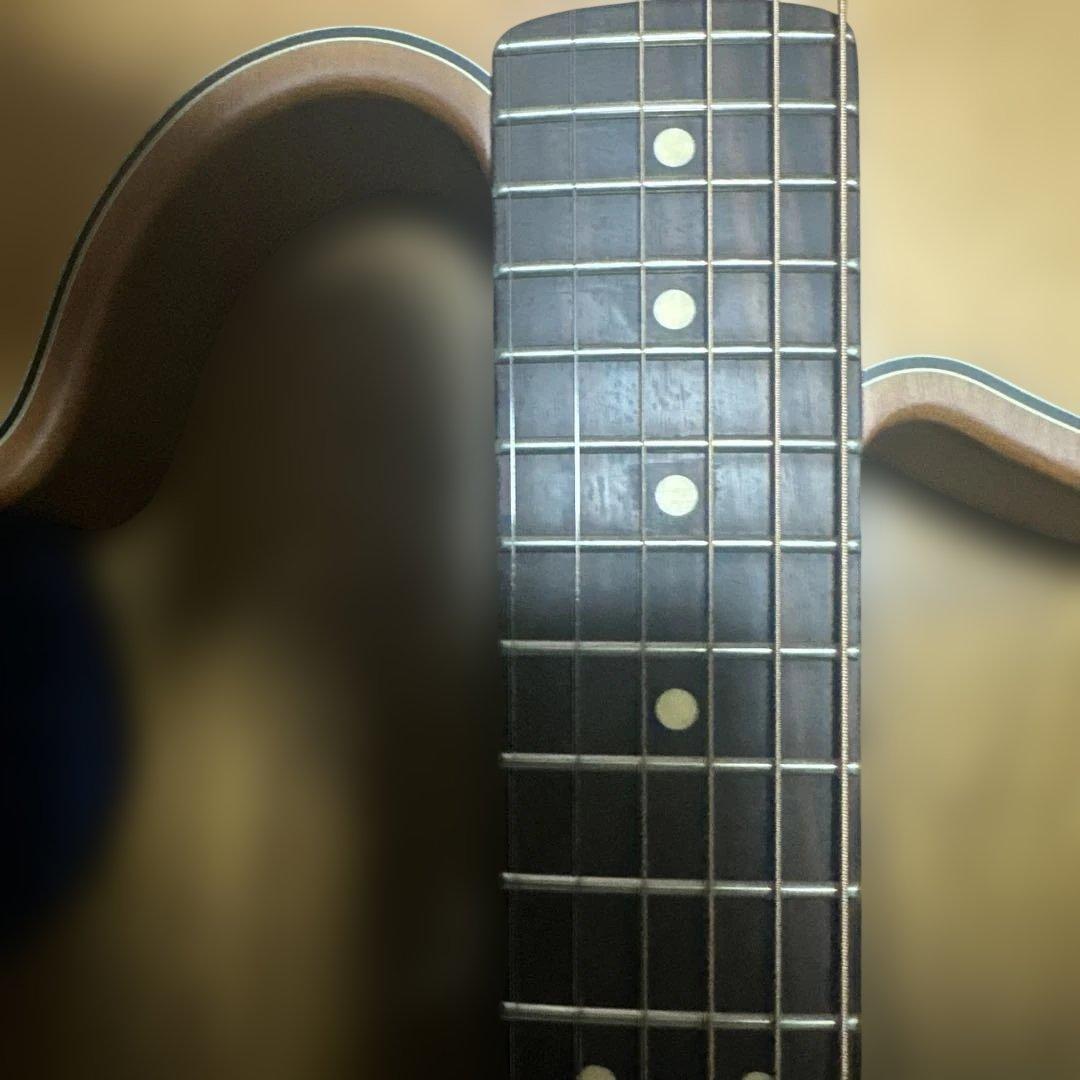 fender アコスタソニック　standard テレキャスター