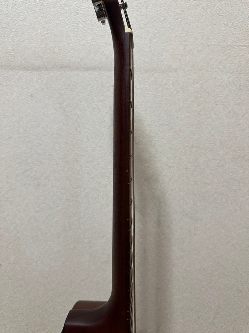 シーガル Seagull Grand パーラーギター【専用ハードケース付】