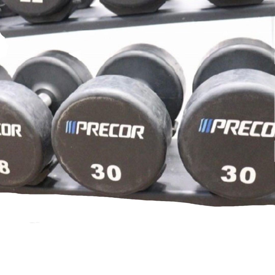 PRECOR プリコー ウレタンラバーダンベル 12〜30kgセット ラック付き