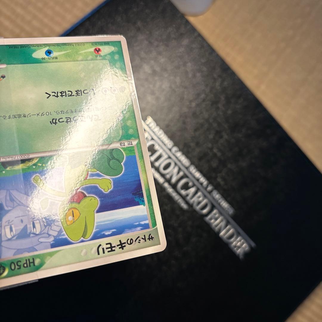 ポケモンカード　サトシのキモリ　美品