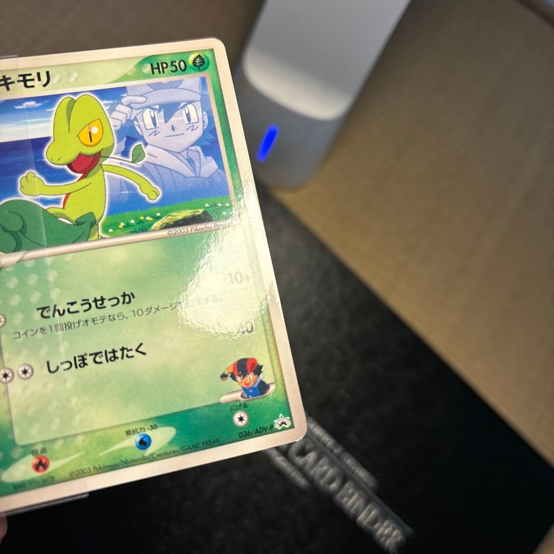 ポケモンカード　サトシのキモリ　美品