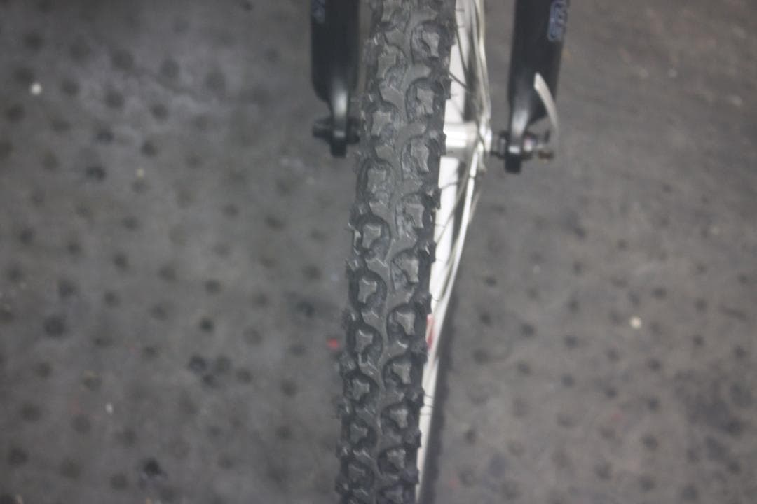 ルイガノ LGS-J24 24型 シマノ21速 300mm 本格子供用MTB 黒