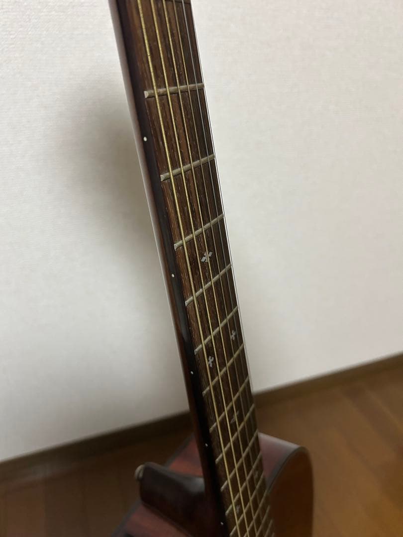 Takamine PT406 エレアコ