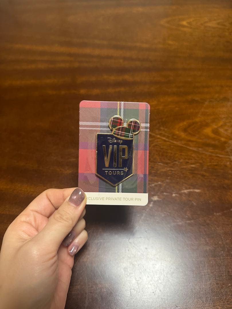 Disney VIP Tours ピンバッジセット