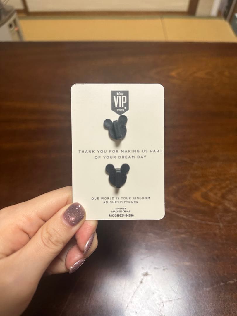 Disney VIP Tours ピンバッジセット