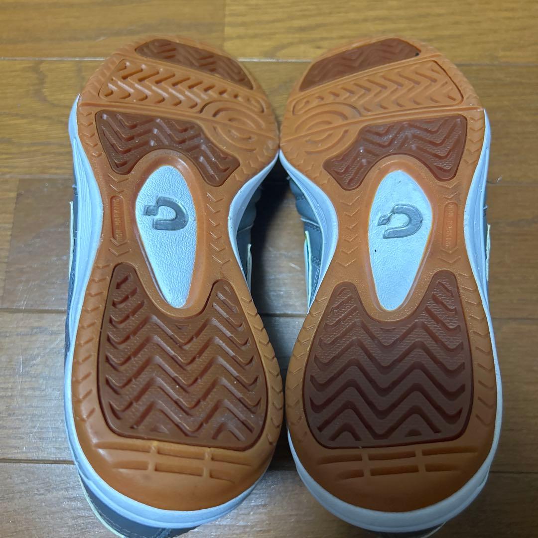 【ますっち】カンピーナス JP 5　Cグレー23.5㎝