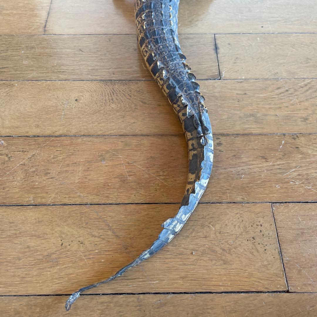 ワニ　置物