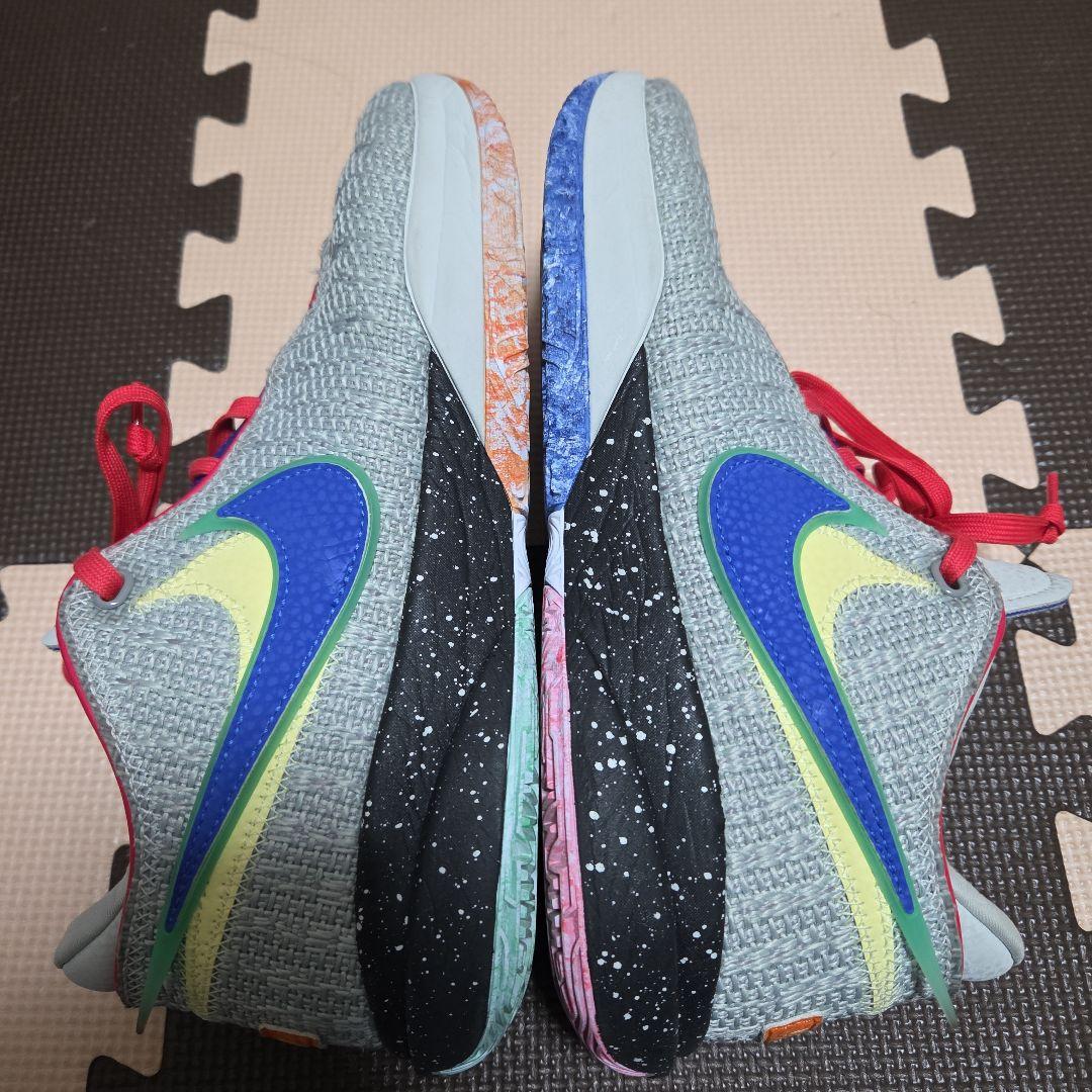 NIKE Lebron20 ナイキ レブロン 20 27cm