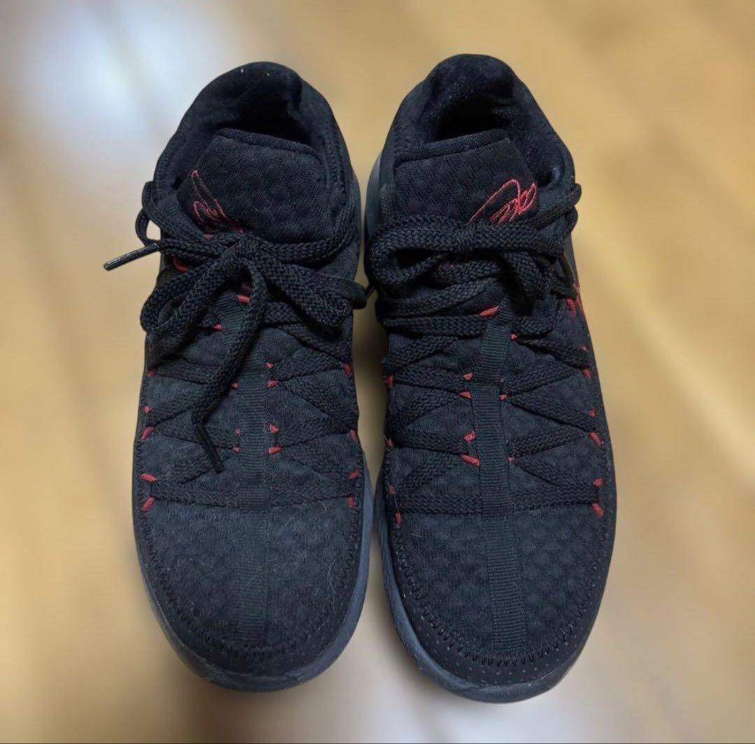 NIKE LEBRON 17 LOW 25.5 箱無し