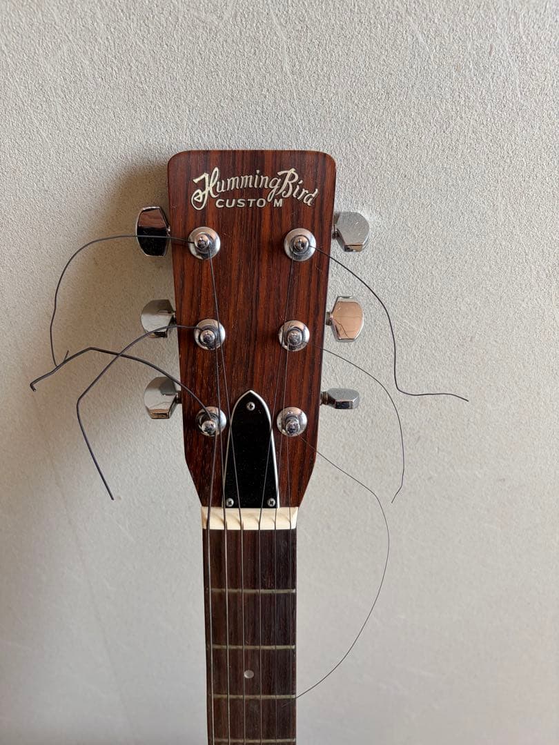 Tokai HummingBird F-200 70年代 国産 ハードケース
