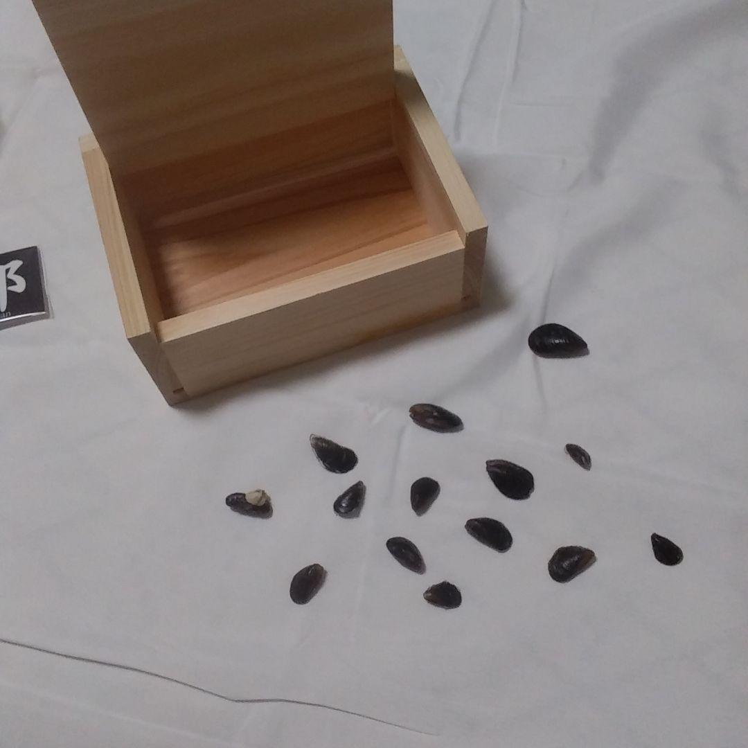 黒鯛　チヌ竿　へち　落とし込み