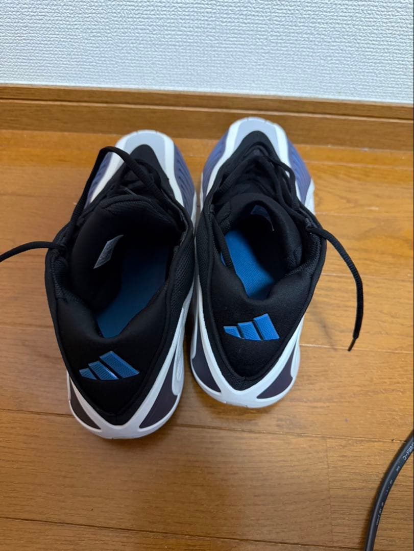 シューズ(男性用) AE2