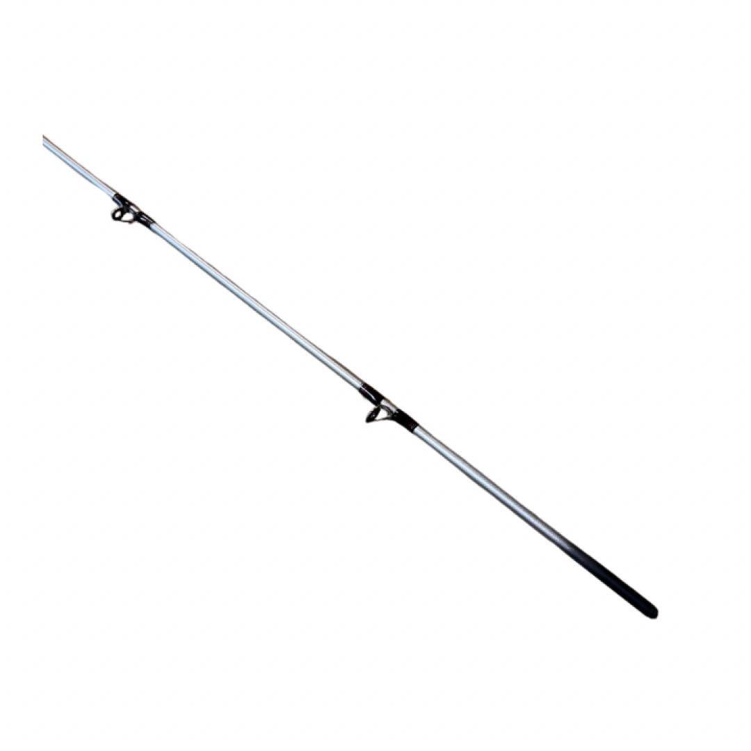 Daiwa ダイワ　FUNE V 64 30-300 ロッドケース付き