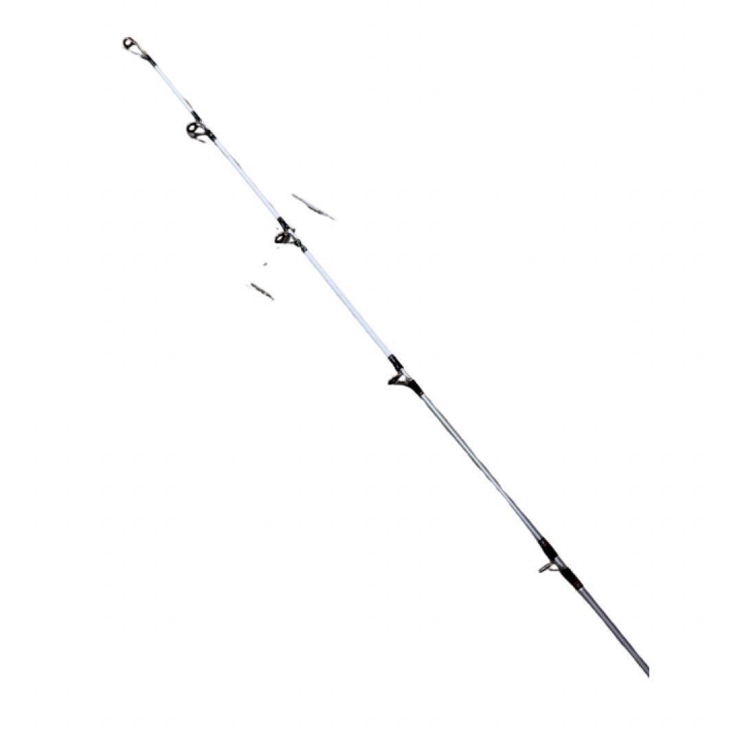 Daiwa ダイワ　FUNE V 64 30-300 ロッドケース付き