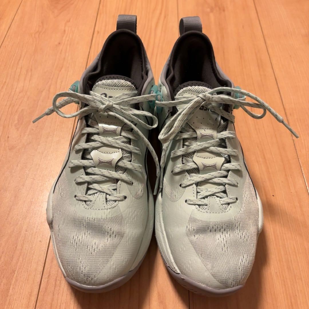 【値下げ！】25.5cm 超美品！NOVA SURGE LOW2