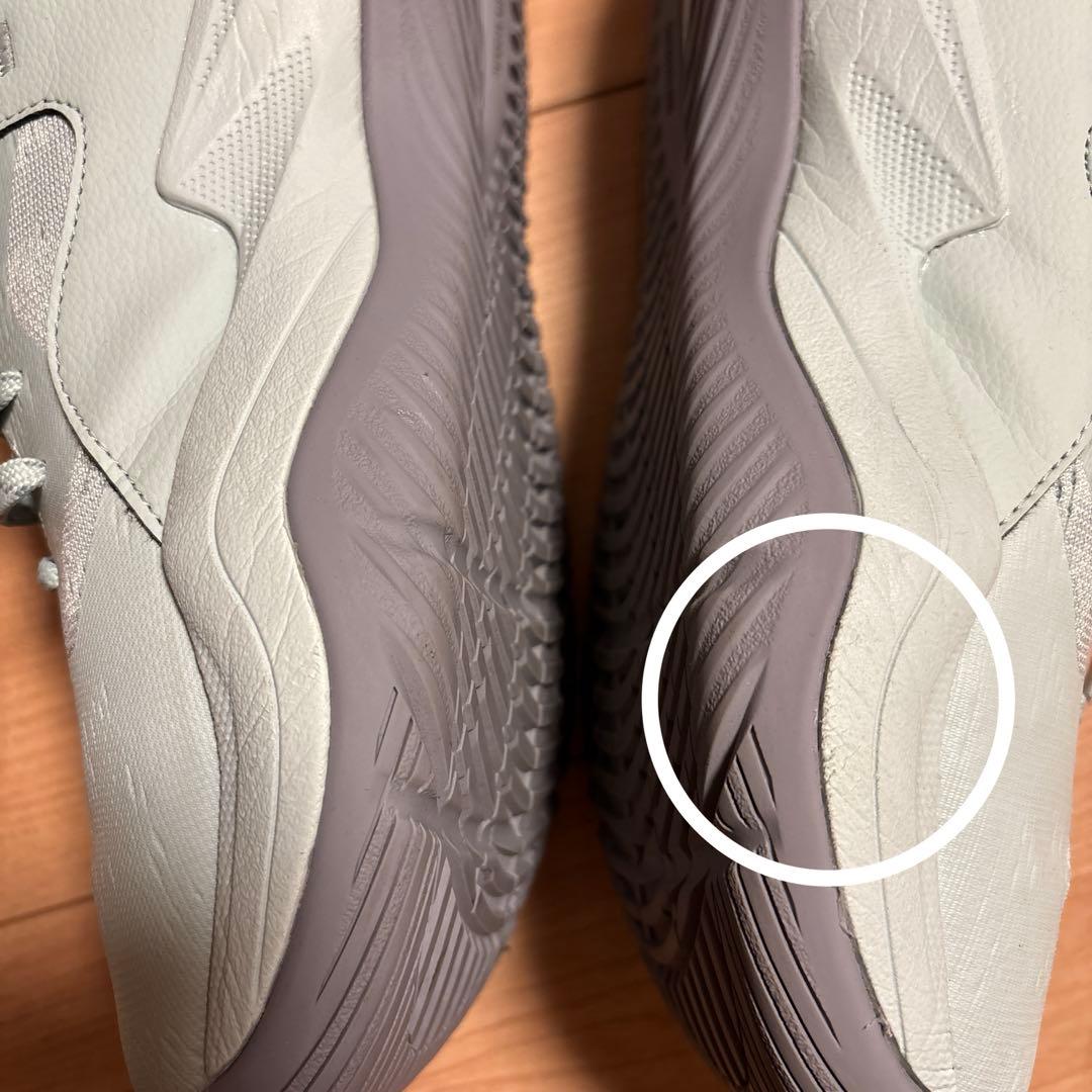 【値下げ！】25.5cm 超美品！NOVA SURGE LOW2