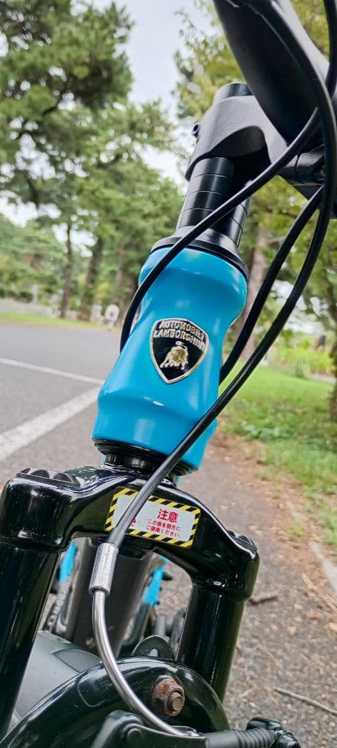 Lamborghini　ランボルギーニ　 20インチ 　7速　子供用　自転車