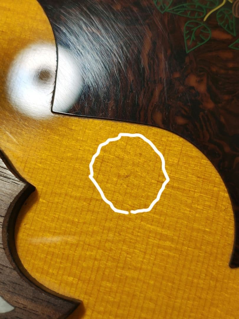Epiphone DOVE PRO VSエレアコ/美品ソフトケース