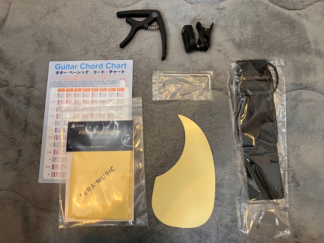 ELVIS Elite2 アコースティックギター中古