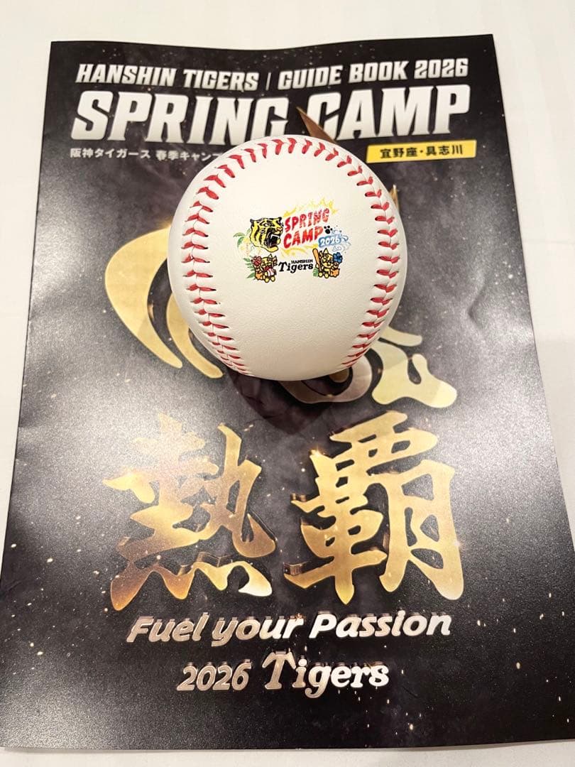 阪神タイガース　立石正広　直筆サインボール　2026沖縄キャンプ限定球