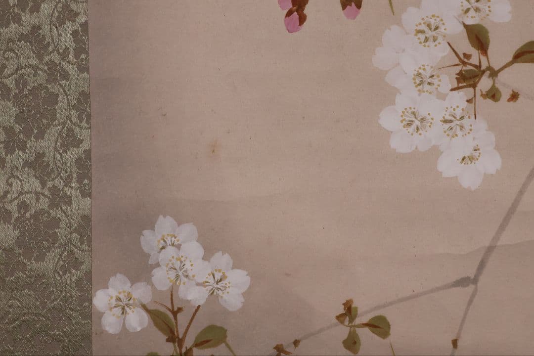 【模写】日本画 山口玲熈 桜の図 紙本 掛軸 師：菊池芳文 菊池契月 MB325