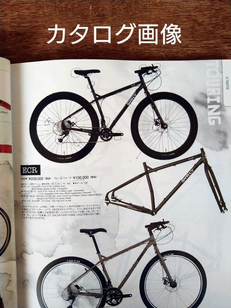 SURLY(サーリー) ECR 29+ サイズ/M　カスタム