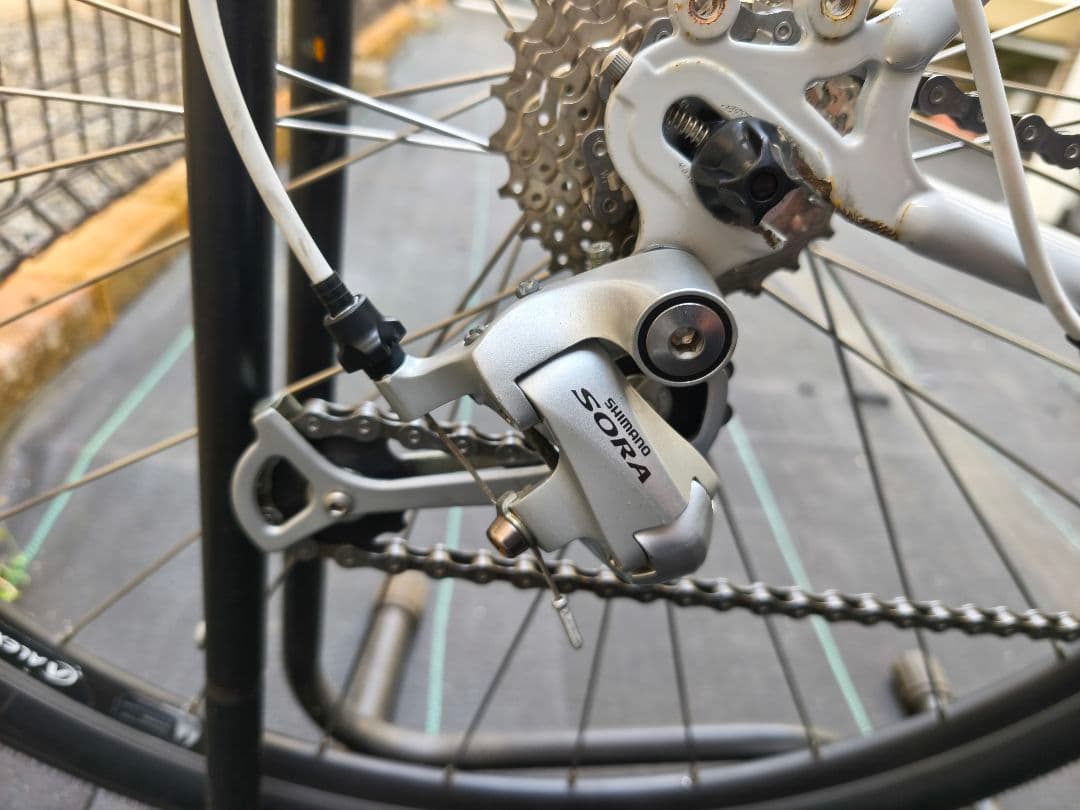 surly crosscheck 52サイズ brooks bluelug