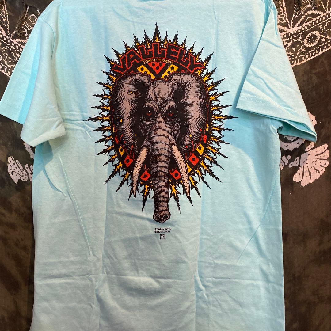 POWELL PERALTAパウエルペラルタ　Tシャツ VALLEY ブルー