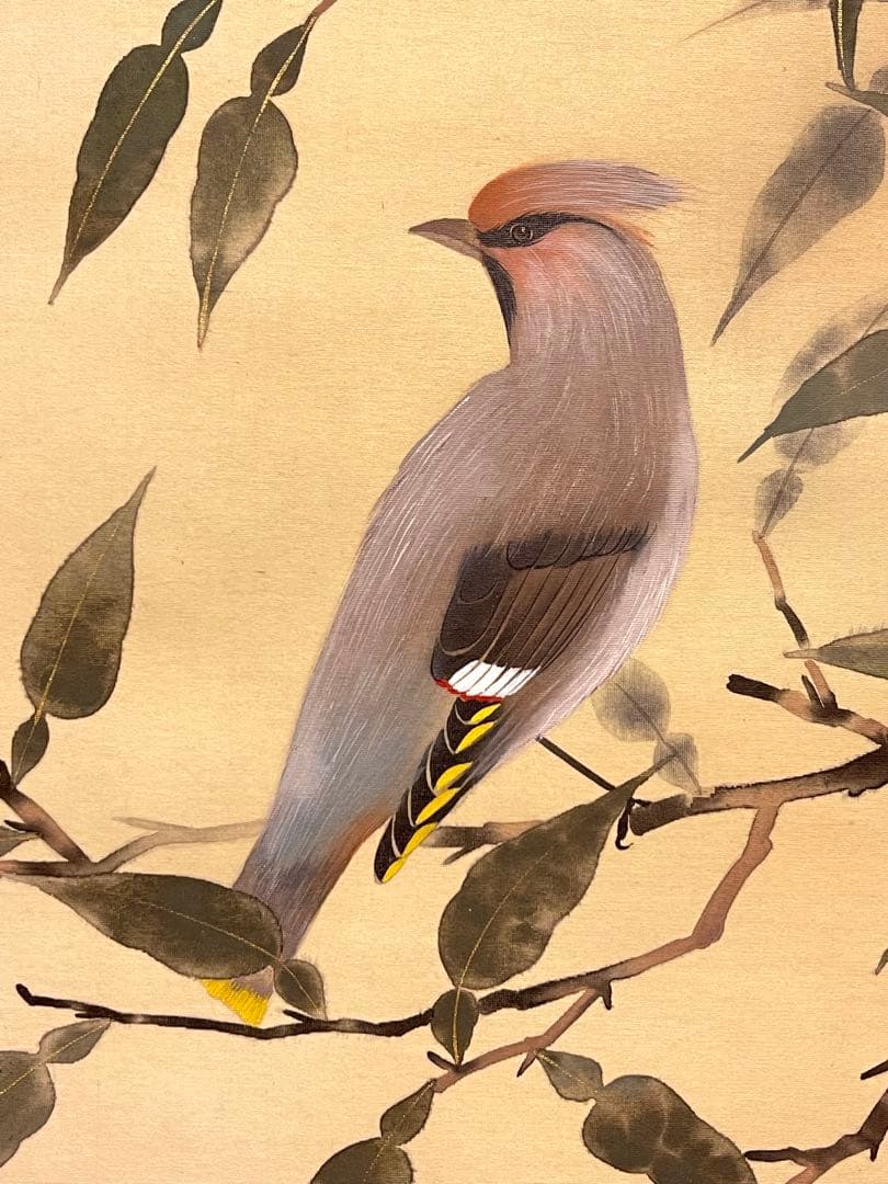 華月「柚小禽」絹本 掛け軸 掛軸 絵画 茶掛 花鳥図 日本画