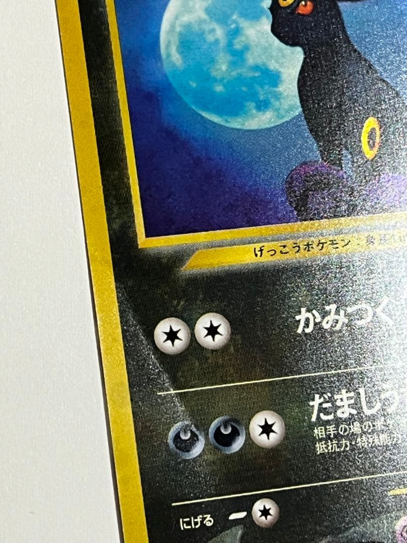 ブラッキー　旧裏　遺跡を超えて
