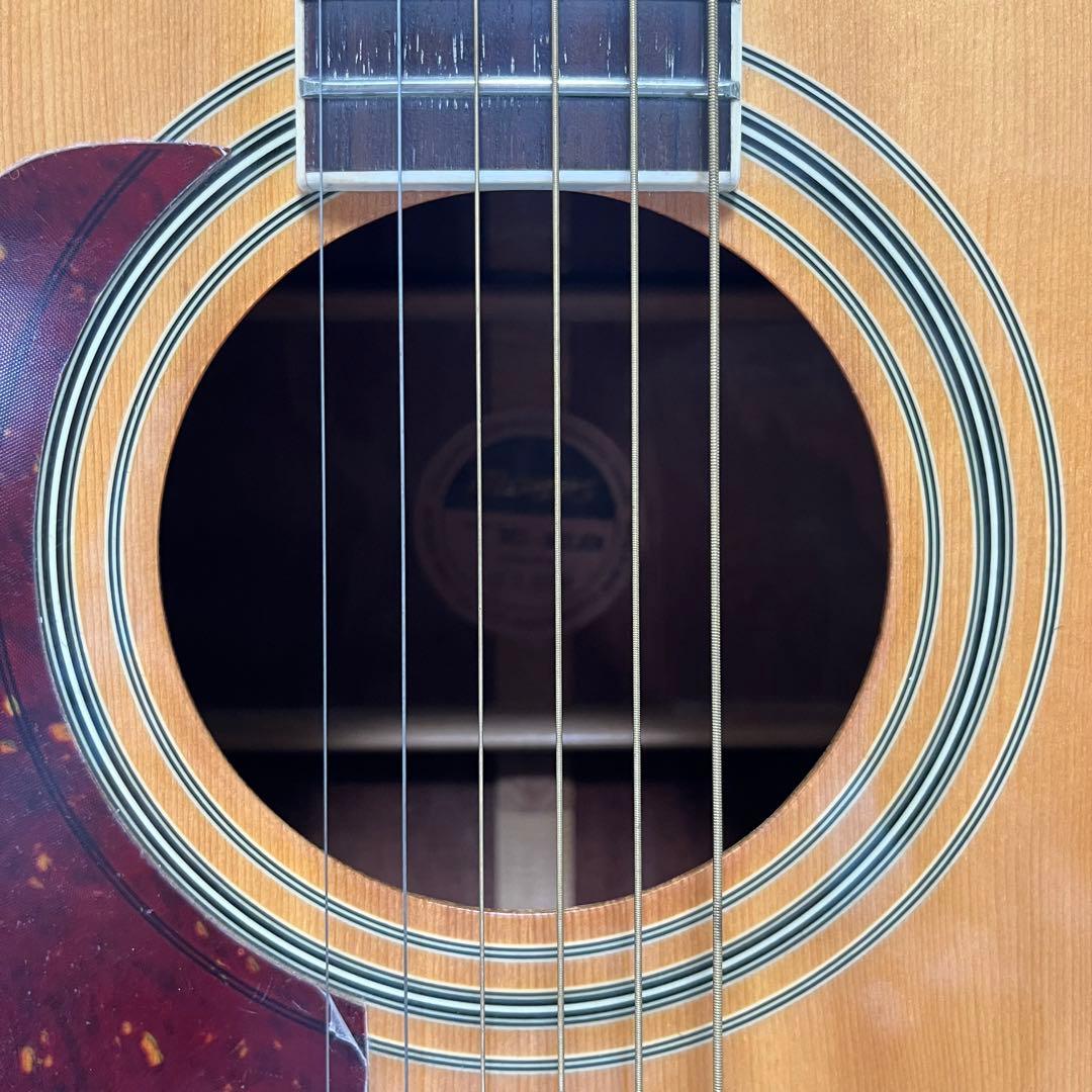 【左利き用】Morris MD-302LHN アコースティックギター　モーリス