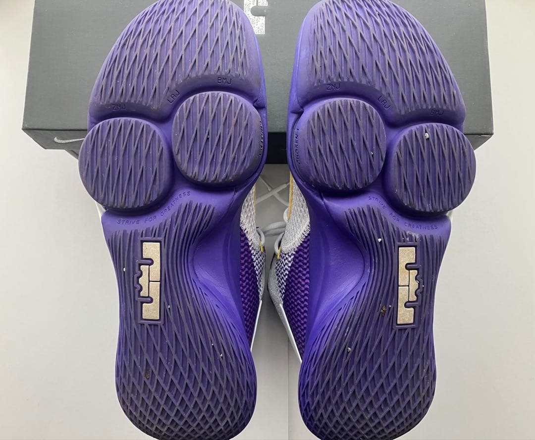 NIKE LEBRON WITNESS Ⅳ バスケットボールシューズ 27cm