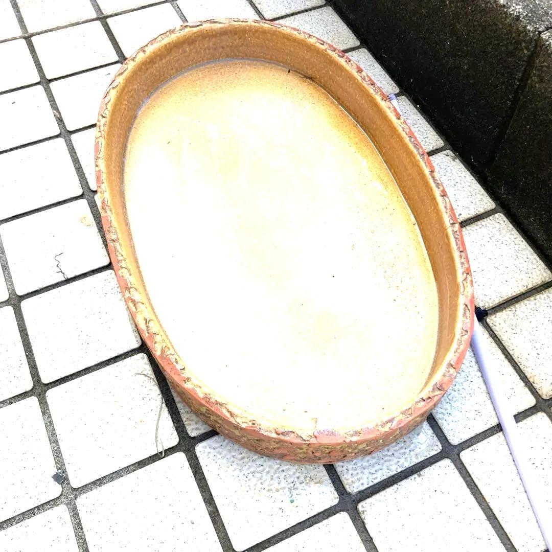 信楽焼 水盤 花瓶 花入れ 火色ちらし 長径52センチ