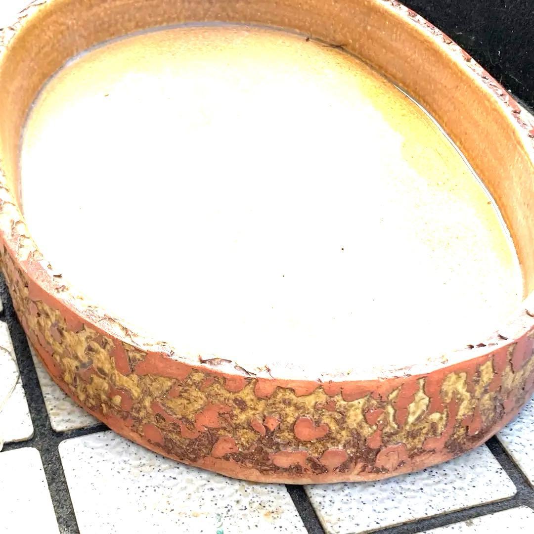 信楽焼 水盤 花瓶 花入れ 火色ちらし 長径52センチ