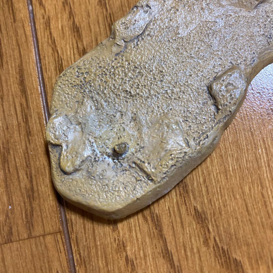 福井県立恐竜博物館　ビスタヒエヴェルソルVSペンタケラトプス